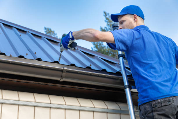 Best Gutter Installation and Repair  in Georgiana, AL
