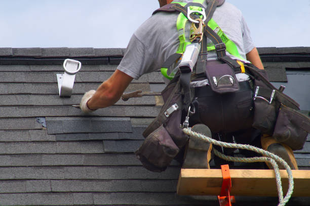 Best Roof Insulation Installation  in Georgiana, AL