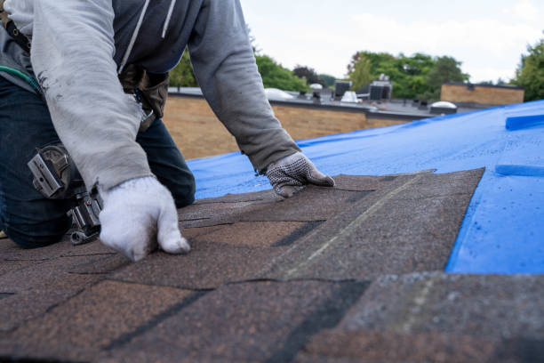 Best Metal Roofing Installation  in Georgiana, AL