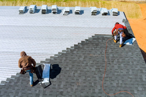 Best Roof Insulation Installation  in Georgiana, AL